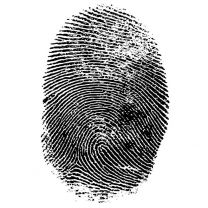 Fingerprints In Primary 1
