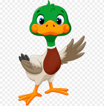 Ducks in Primary 5